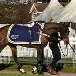 Racehorse being walked by a groom